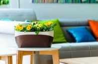Box Doppio, suitable for every home Box Doppio, suitable for every home